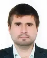Николаев Максим Давидович